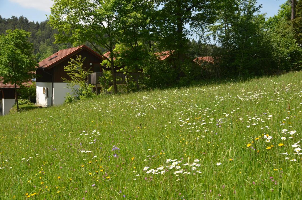 Ferienwohnung Wildgatter Grafenwiesen Екстериор снимка