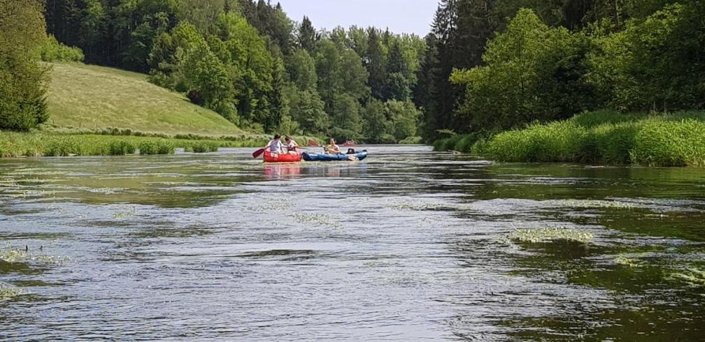 Ferienwohnung Wildgatter Grafenwiesen Екстериор снимка